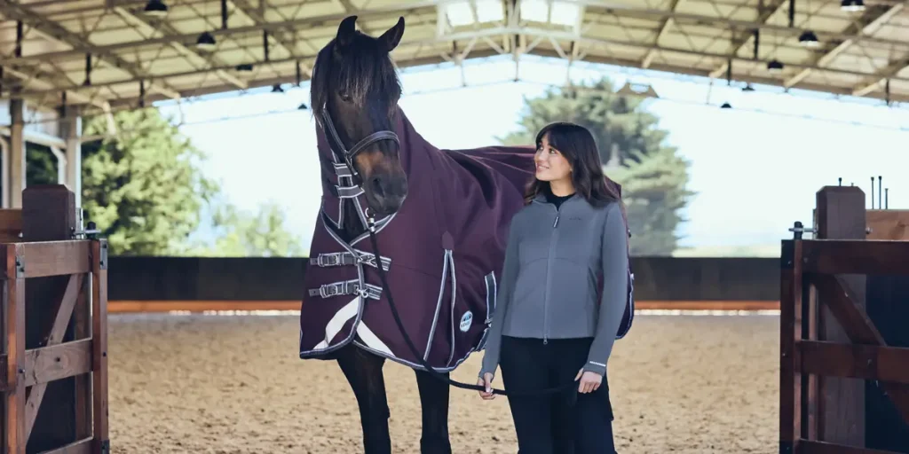 Carbon Footprint Of Horse Transport