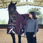 Carbon Footprint Of Horse Transport