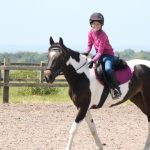 The Rider-Horse Emotional Connection