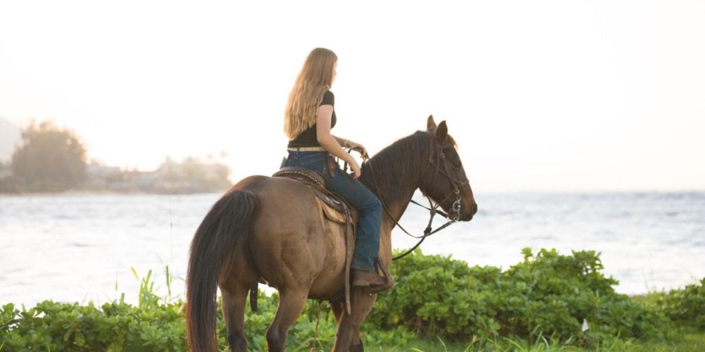 The Origins Of Dressage Movements