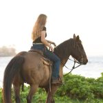 The Origins Of Dressage Movements