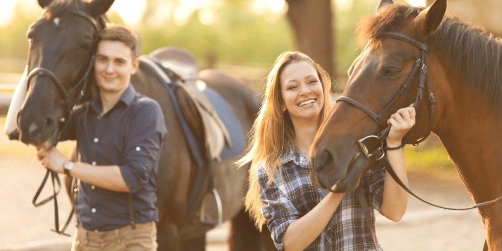 Sustainable Horse Feed Brands