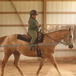 Visualization Techniques Before A Ride