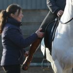 Organic Fly Repellents For Horses
