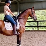 Reducing Water Waste In Horse Care