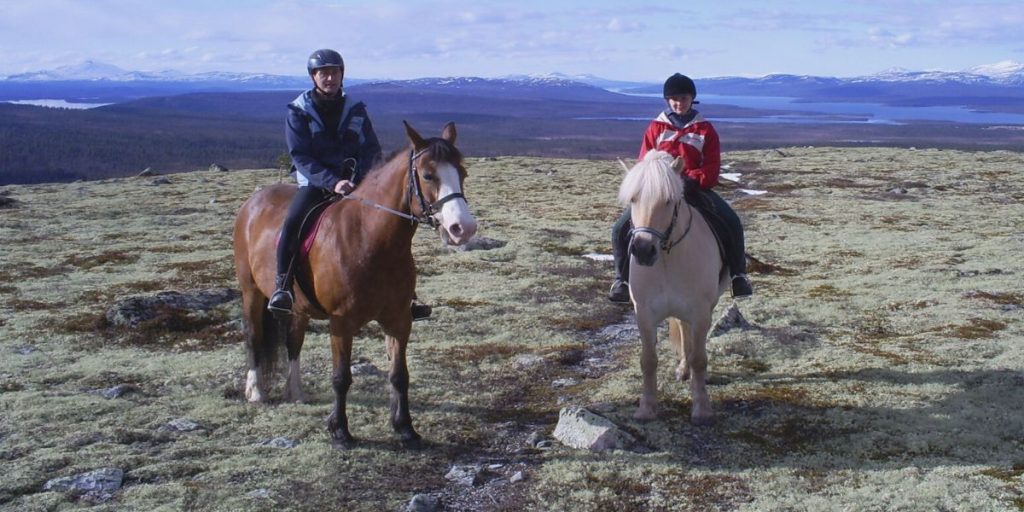 The Role Of Horses In Medieval Farming