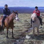 The Role Of Horses In Medieval Farming