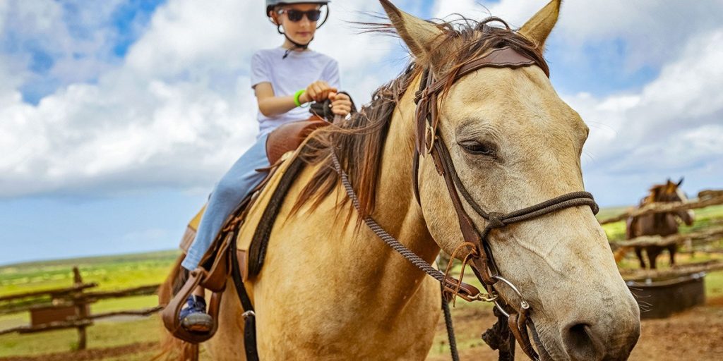 The History of Side Saddle Riding
