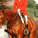 Horseback Riding Tips For Timid Kids