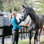 Historical Saddle Types Across Continents