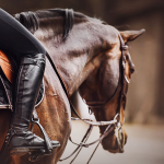 How To Teach Kids Horse Safety Rules