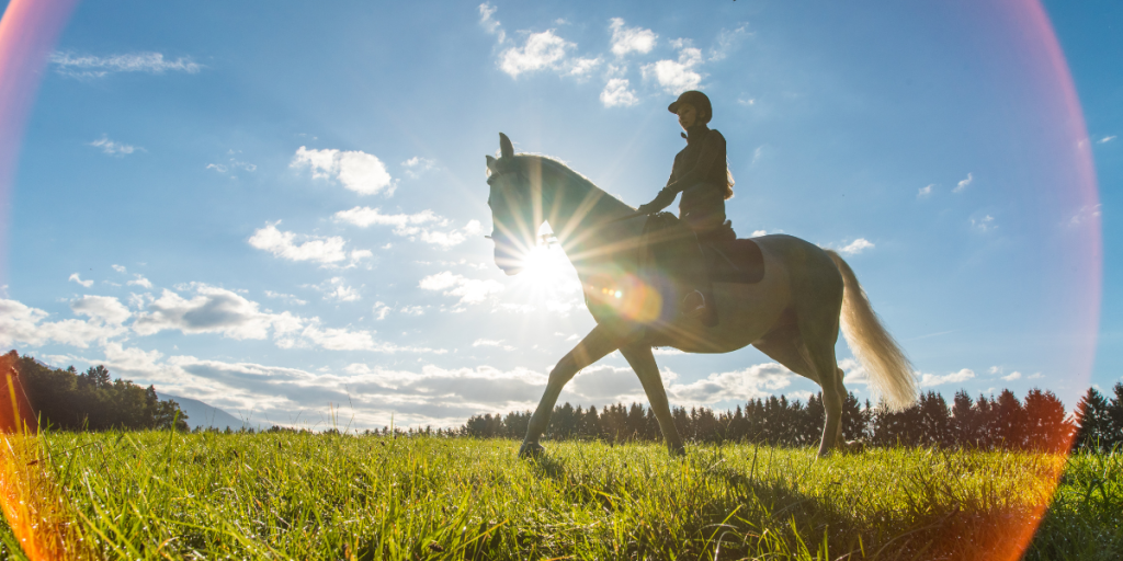 Ancient Horse Breeds And Their Origins