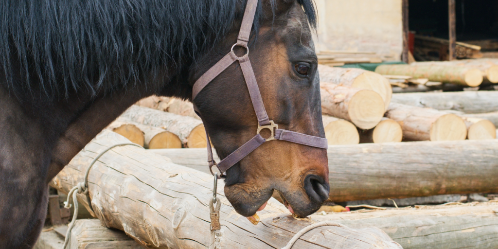 Letting Go Of Perfection In The Arena