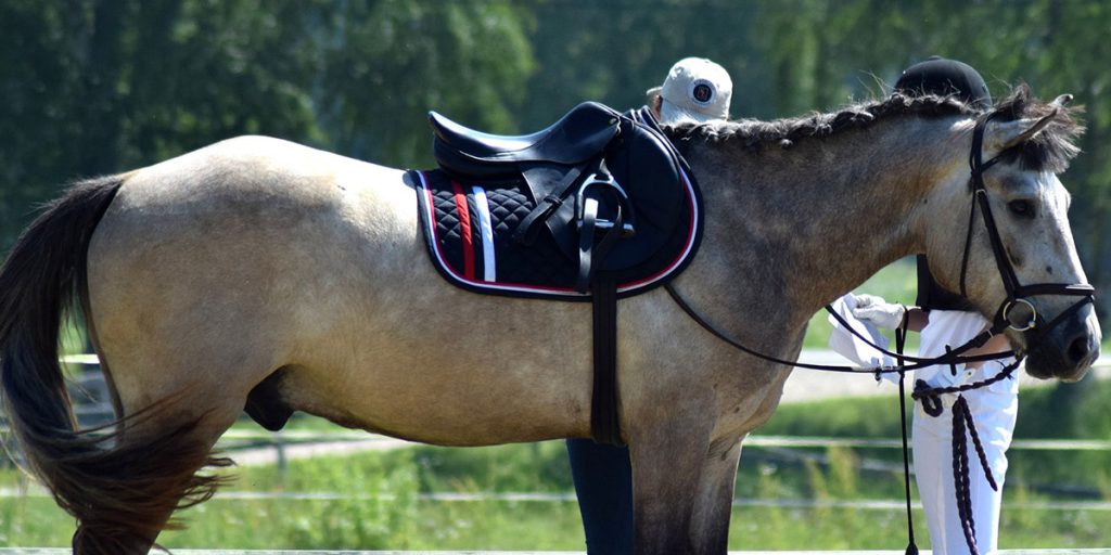 Upcycled Tack Room Decor Ideas