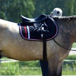 Upcycled Tack Room Decor Ideas