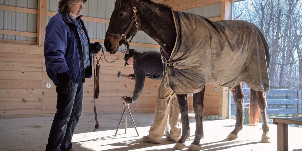 Balancing Ambition And Horse Wellbeing