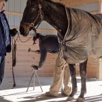 Balancing Ambition And Horse Wellbeing