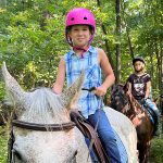 Pony Vs Horse: What’s Better For Kids