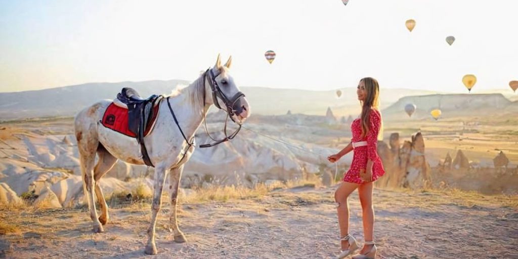 Traditional Mongolian Horse Gear