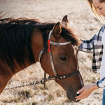 Teaching Kids To Tack Up Properly