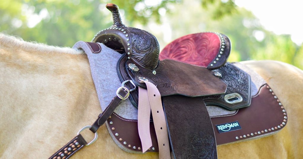 Beginner’s Guide to Equestrian Embroidery