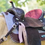 Beginner’s Guide to Equestrian Embroidery