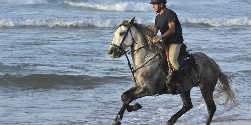 The Symbolism Of Horses In Folklore