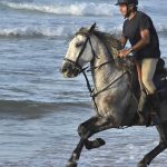 The Symbolism Of Horses In Folklore