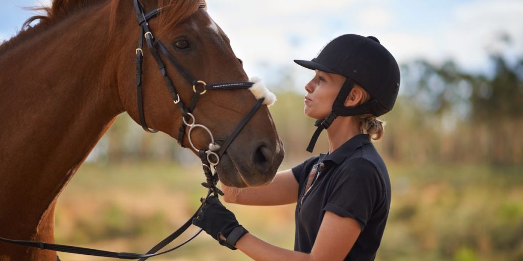 Classic Horse Breeds Used In War
