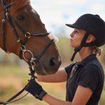 Classic Horse Breeds Used In War