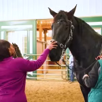 Horse-Themed Birthday Party Ideas