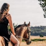 Building Trust With Your Horse