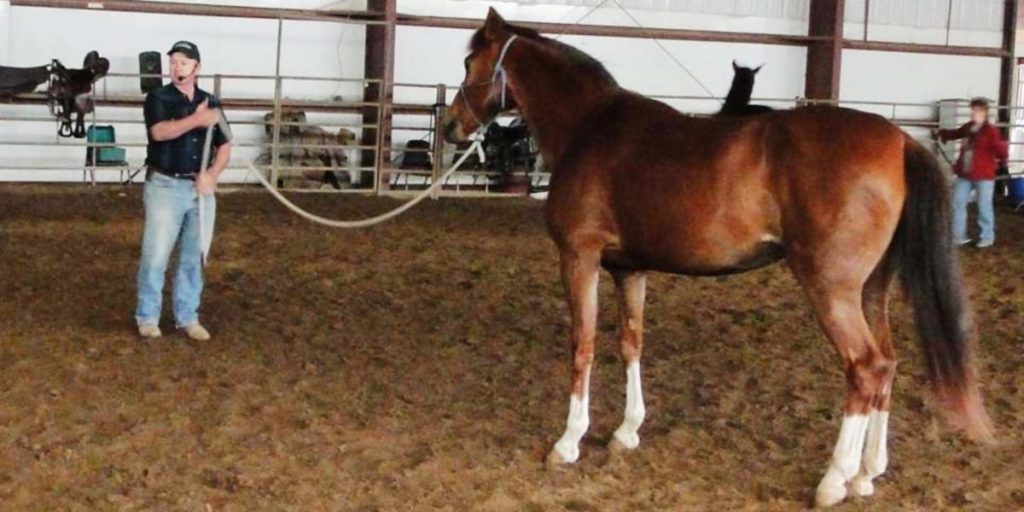 Cultivating Gratitude For Barn Life