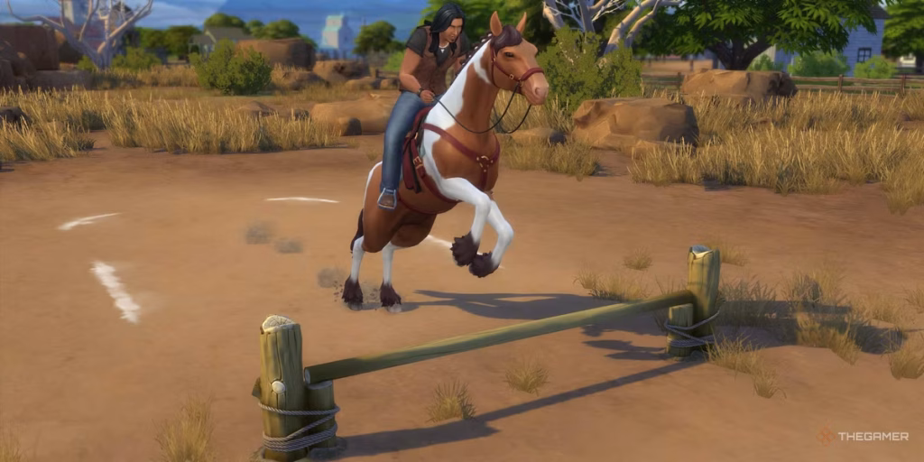 How To Recycle Old Equestrian Gear