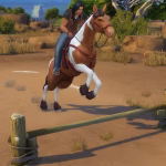 How To Recycle Old Equestrian Gear
