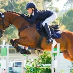 Making A DIY Horse Grooming Tote