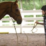 Sustainable Clothing For Riders
